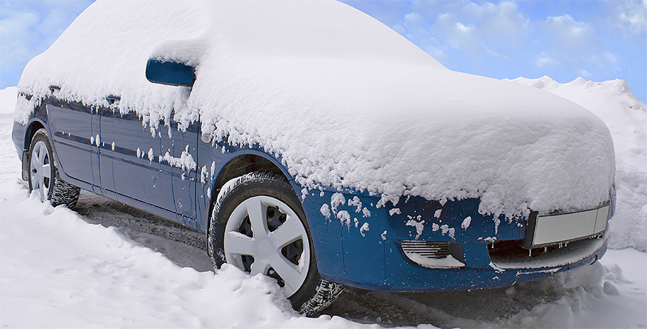 wintercheck_920px.jpg